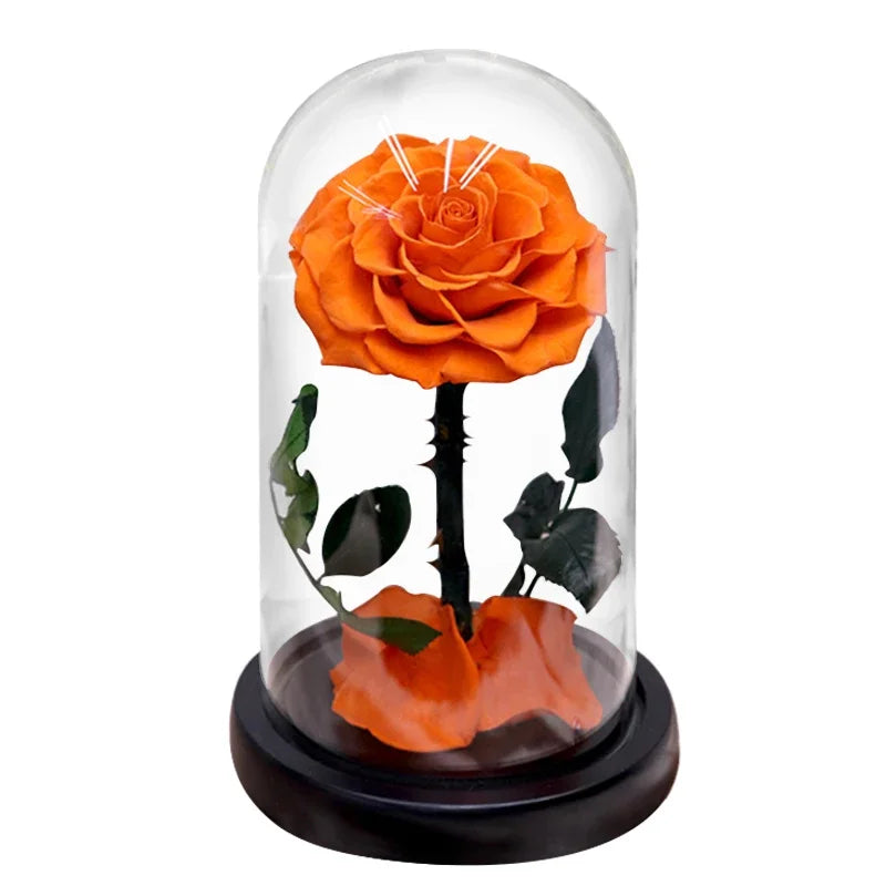 S456897548a06443a9ff226ffcad2bceaJ