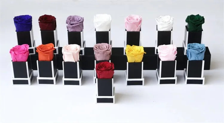 S86214c6ad44a40ef879170e451dce04bz