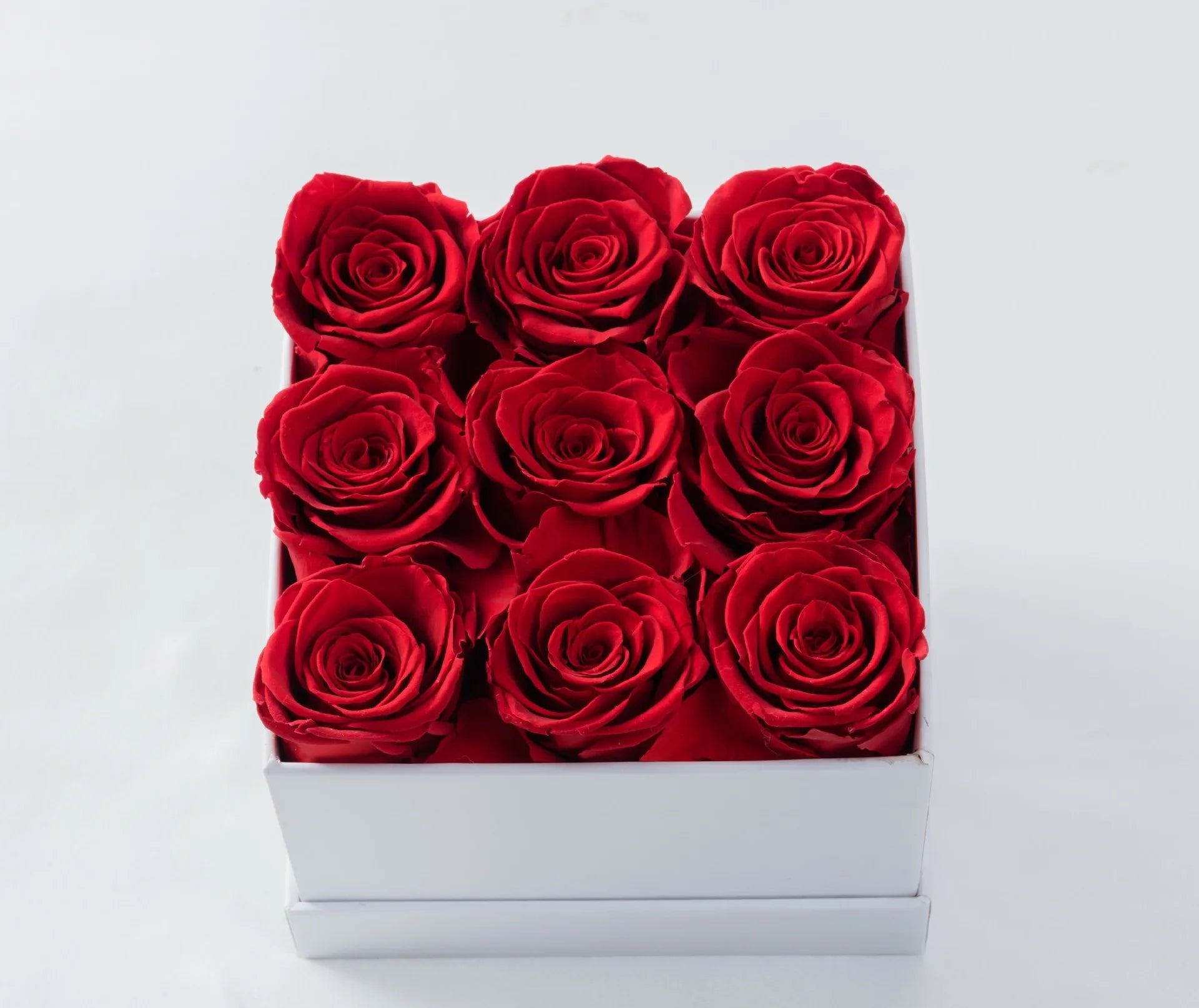 S9bc5a5d21ec2422591128b605d48086a1