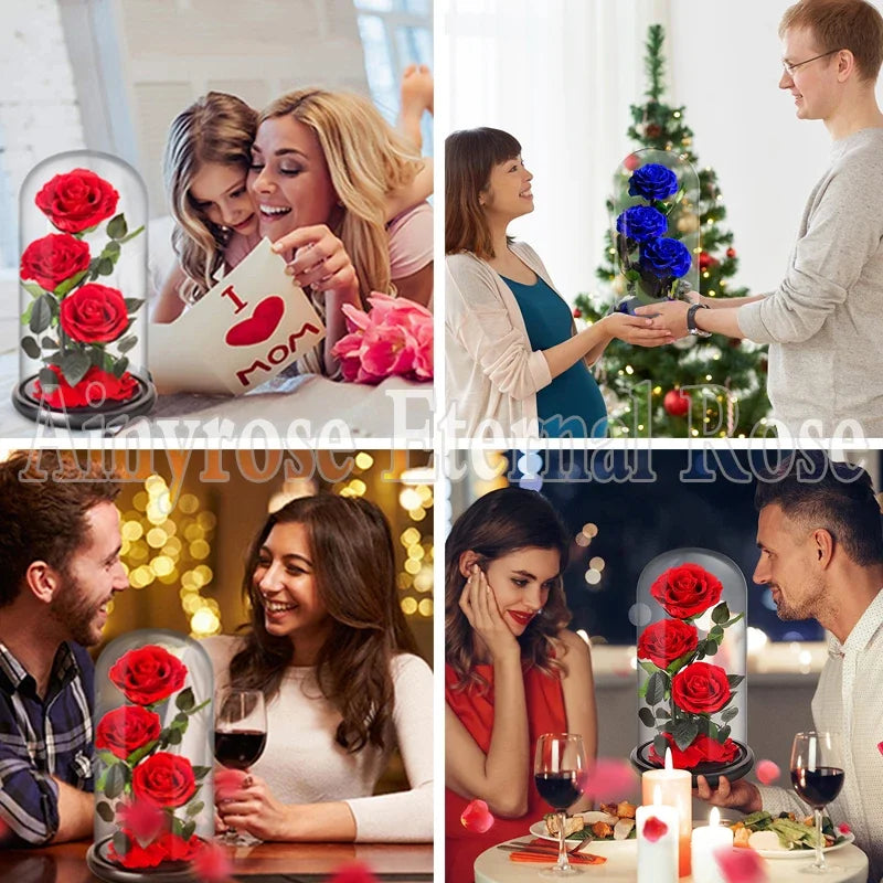 Sb3e398951c5147afb139d410abcdc7e45