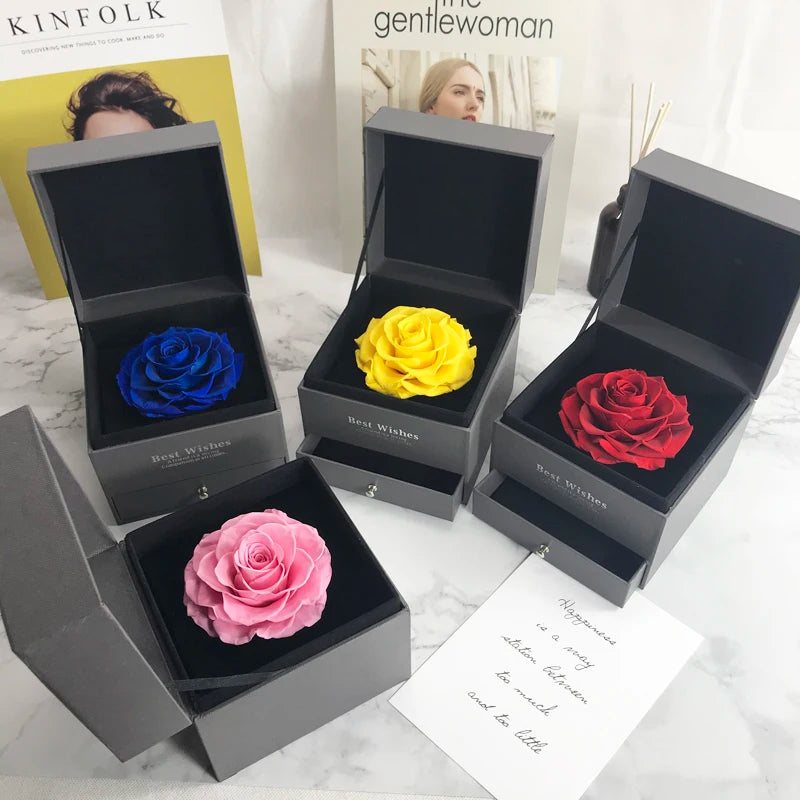 S4483765d9ef443d6aadb6ff8146a9527P