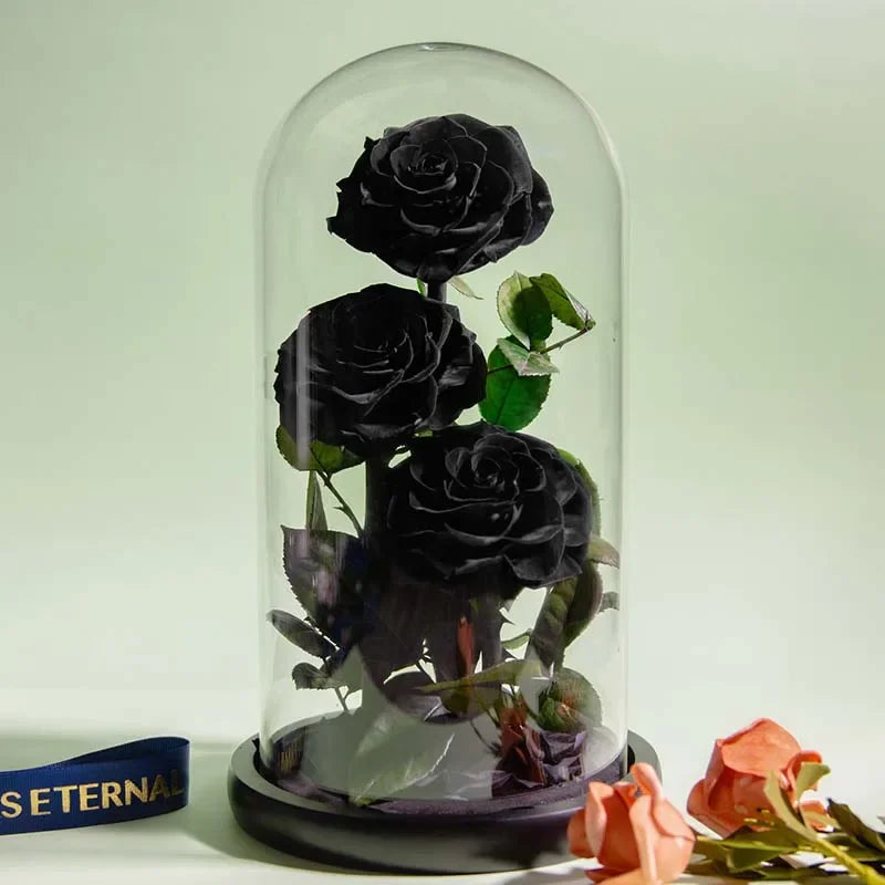 S523e0c894e734e2bb3e97efd372521b7W