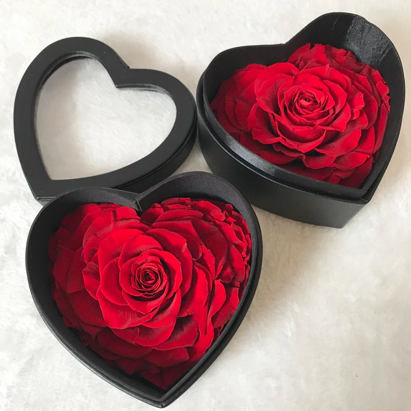 Sa777016a50fb42ceaa672ebb02aaf8e8v